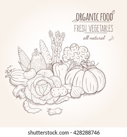 Organic food design template. Vector illustration