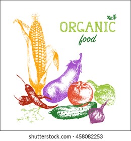 Organic food design.Vegetarian vegetable 100% organic food. Healthy eating background. Vector illustration.