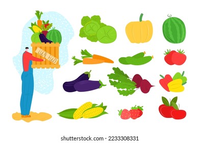 Organic food from farm, fresh vegetable set, vector illustration. Local market, cartoon natural agriculture concept. Man farmer hold healthy harvest