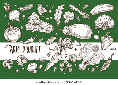 Organic food farm product vegetable harvest vegetarian nutrition tomato and beetroot lettuce and chili pepper peas and eggplant cauliflower and asparagus broccoli cucumber and mushroom carrot and bean