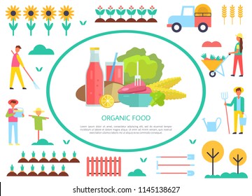 Organic food farm products and working people. Agriculture harvesting season farms and transport icons. Cabbage, bottle and bread, corn sunflower vector