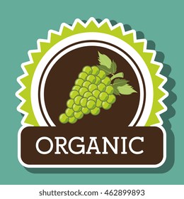 organic food fruit icon vector illustration graphic