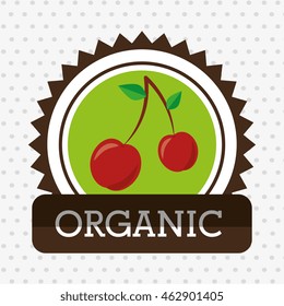 organic food fruit icon vector illustration graphic
