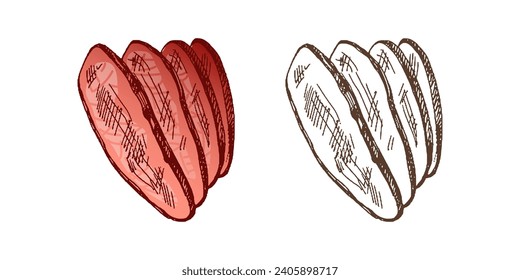 Organic food. Hand drawn colored and monochrome vector sketch of grilled beef steak, piece of meat. Vintage illustration. Decorations for the menu. Engraved image.