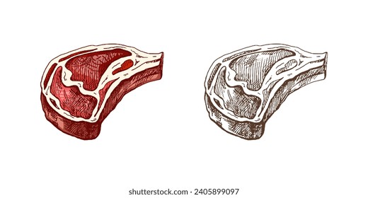 Organic food. Hand drawn colored and monochrome vector sketch of beef steak, piece of meat. Doodle vintage illustration. Decorations for the menu of cafes. Engraved image.