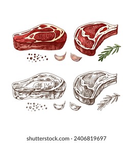 Organic food. Hand drawn colored vector sketch of beef steak, piece of meat with rosemary, garlic and peppercorns. Vintage illustration. Decorations for the menu. Engraved image.