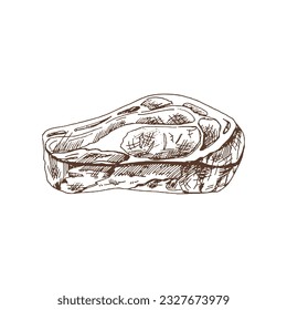 Organic food. Hand drawn vector sketch  of  beef steak, piece of meat.  Doodle vintage illustration. Decorations for the menu of cafes and labels. Engraved immage. 