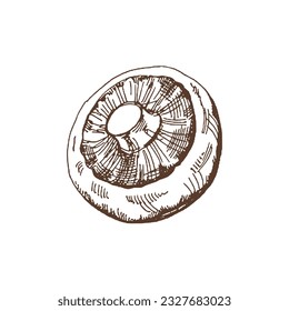 Organic food. Hand drawn vector sketch  of champignon.  Doodle vintage illustration. Decorations for the menu of cafes and labels. Engraved immage. 