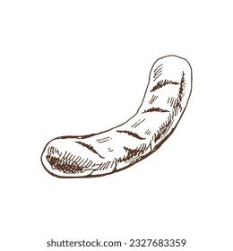 Organic food. Hand drawn vector sketch  of barbecue grilled sausage.  Doodle vintage illustration. Decorations for the menu of cafes and labels. Engraved immage. 