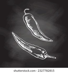 Organic food. Hand drawn vector sketch  of chilli pepper.  Doodle vintage illustration on chalkboard backgrouns. Decorations for the menu of cafes and labels. Engraved immage. 