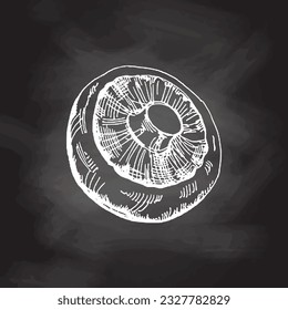 Comida orgánica. Esbozo vector dibujado a mano del campeón.  Ilustración de época Doodle en el fondo de pizarra. Decoración para la carta de cafés y etiquetas. Imagen grabada. 
