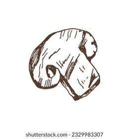 Organic food. Hand drawn vector sketch of grilled champignon. Doodle vintage illustration. Decorations for the menu of cafes and labels. Engraved immage.