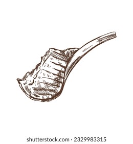 Organic food. Hand drawn vector sketch of beef steak, piece of meat on the bone. Doodle vintage illustration. Decorations for the menu of cafes and labels. Engraved immage.