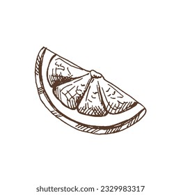 Organic food. Hand drawn vector sketch of lemon slice. Doodle vintage illustration. Decorations for the menu of cafes and labels. Engraved immage.