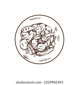 Organic food. Hand drawn vector sketch of plate of grilled vegetables. Doodle vintage illustration. Decorations for the menu of cafes and labels. Engraved immage.