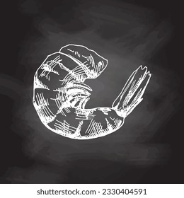 Organic food. Hand drawn vector sketch of cooked shrimp. Doodle vintage illustration isolated on chalkboard background. Decorations for the menu of cafes and labels. Engraved immage.