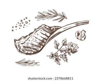 Organic food. Hand drawn vector sketch of beef steak, piece of meat on the bone with parsley, rosemary, pepper peas. Doodle vintage illustration. Decorations for the menu of cafes and labels. 