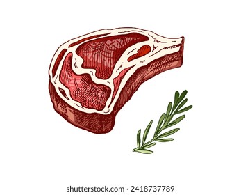 Organic food. Hand-drawn color vector sketch of grilled beef steak, piece of meat with rosemary. Vintage illustration. Decorations for the menu of cafes and labels. Engraved image.
