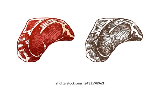 Organic food. Hand-drawn colored and monochrome vector sketch of beef steak, piece of meat. Doodle vintage illustration. Decorations for the menu of cafes. Engraved image.