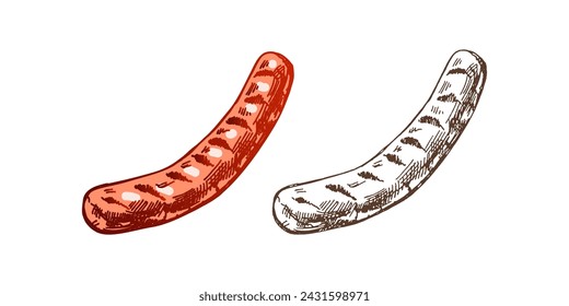 Organic food. Hand-drawn colored and monochrome vector sketch of barbecue grilled sausage. Vintage illustration. Decorations for the menu of cafes and labels. Engraved image. 