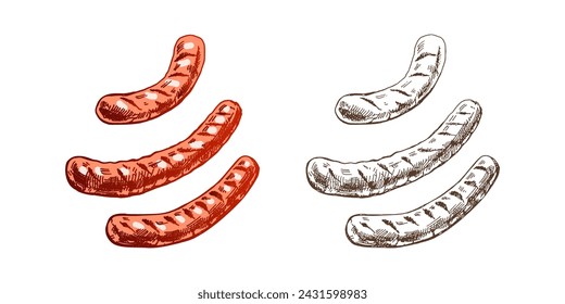 Organic food. Hand-drawn colored and monochrome vector sketches of barbecue grilled sausages. Vintage illustration. Decorations for the menu of cafes and labels. Engraved image. 