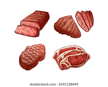 Comida orgánica. Dibujos vectoriales de colores dibujados a mano de filetes de carne a la parrilla, trozos de carne. Ilustración vintage. Decoración del menú. Imagen grabada.	