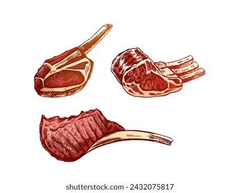 Organic food. Hand-drawn colored vector sketches of pork, beaf, lamb ribs, piece of meat, set. Doodle vintage illustration. Decorations for the menu of cafes and labels. Engraved image.