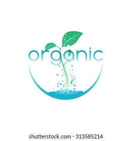 Organic food, illustration for agriculture company or environment organization