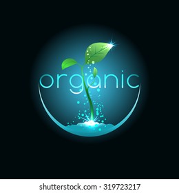 Organic food, illustration for agriculture company or environment organization