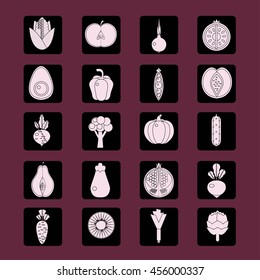 Organic food illustration. Vector collection of fresh healthy fruits and vegetables made in flat style - each one is isolated for easy use.