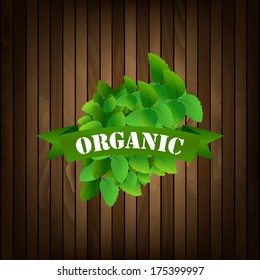 Organic food label. Green leaves. Vector illustration.