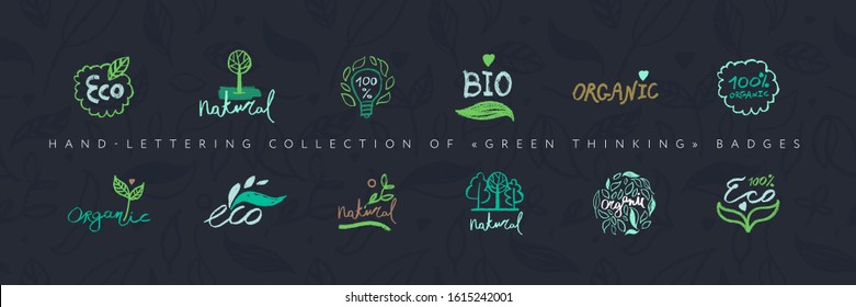 Organic food labels. Hand-lettering collection of Green Thinking badges. Healthy food icons, floral pattern background, herb ornament seamless. Trendy vector farm logo, bio concept, natural cosmetics.