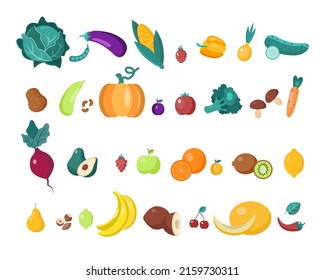 Organic food. A large set of various ripe fruits and vegetables. The concept of gardening or agriculture. Design for leaflet template, printing, packaging