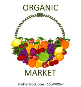 organic food  market vector illustration
