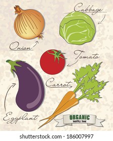 Organic food, onion, cabbage, tomato, eggplant and carrot, vector