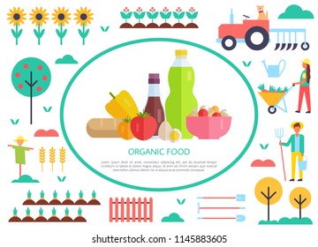 Organic food poster and people working on land. Trees and fruits farming process and results. Tractor and farmers growing eco vegetables set vector