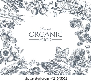 Organic food. Set of vegetables, fruits and spices. Farm meal. Poster. Menu