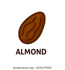 Organic food. Vector almond icon. Healthy nuts. Alternative milk. Nutrition healthy snack