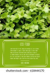 Organic Food Vector Background. Place your text here