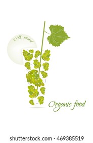 Organic food vector illustration