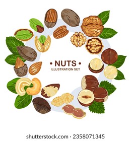 Organic food vector illustration on white background, framed with nuts, pecan, walnut, macadamias, hazelnut, brazil nuts, peanuts, almonds, cashews, pistachios, and text samples.