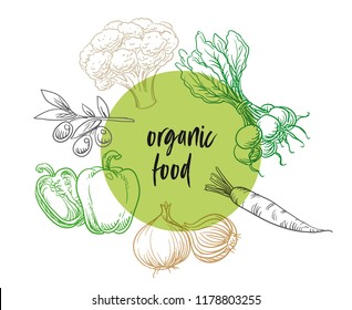Organic food vegetables badge or sign, line drawing on colorful transparent circle. With radish, pepers, carrot, onion, olive and broccoli. Hand drawn doodle vector illustration.