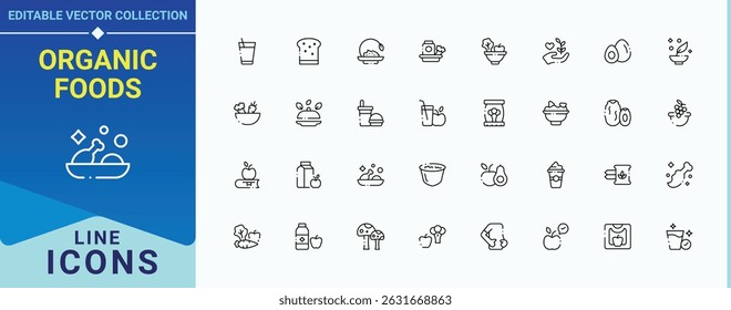 Organic Foods icon set. Pack of nutrition, health, salad, vitamin, eat and more. Healthy Food icon set. Minimalist vector collections. Vector illustration in modern line style.