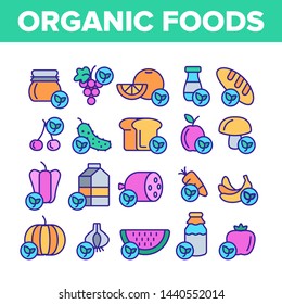 Organic Foods Vector Thin Line Icons Set. Organic Food, Fresh Fruits, Berries, Vegetables Linear Pictograms. Healthy Nutrition. Eco Dairy, Meat Products Organic Farming Produce Contour Illustrations