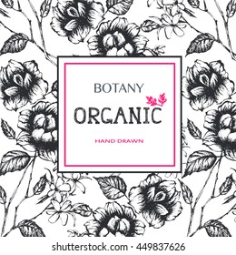 Organic frame. Hand drawn floral and botany background.  Vector illustration of natural cosmetic.