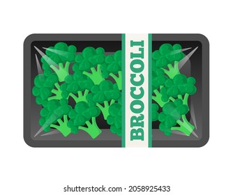 organic fresh broccoli  in transparent package foam tray isolated on white background vector illustration