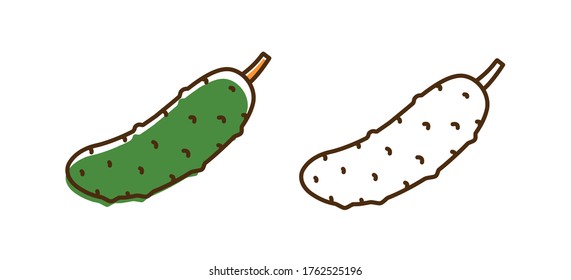 Organic fresh cucumber with design elements vector illustration in line art style. Natural seasonal vegetable colorful and monochrome isolated on white background. Vegetarian tasty food ingredient