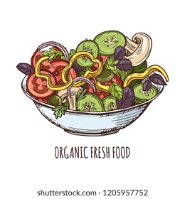 Organic fresh food illustration. Hand drawn greens salad in bowl isolated on white background vector