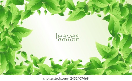 organic and fresh greenery leaves background design vector
