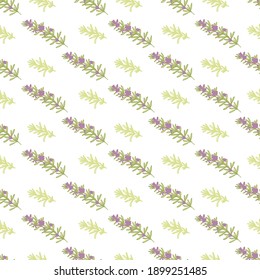 Organic Fresh Rosemary Flower Leaves Vector Illustration Seamless Pattern can be used for Background and Apparel